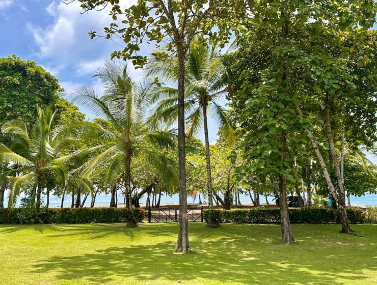 Beach house. Sea view, pool & direct beach access