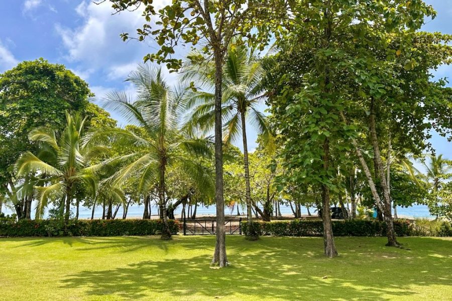 Beach house. Sea view, pool & direct beach access