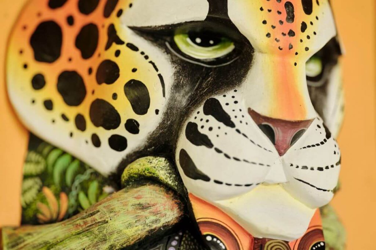 punta-preciosa-jaguar