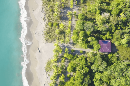Beach house. Sea, mangrove, lagoon & jungle