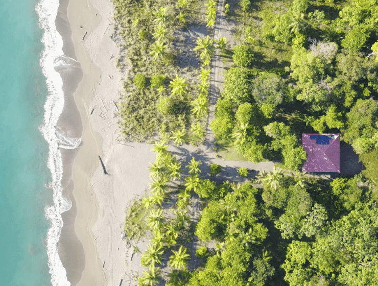 Beach house. Sea, mangrove, lagoon & jungle