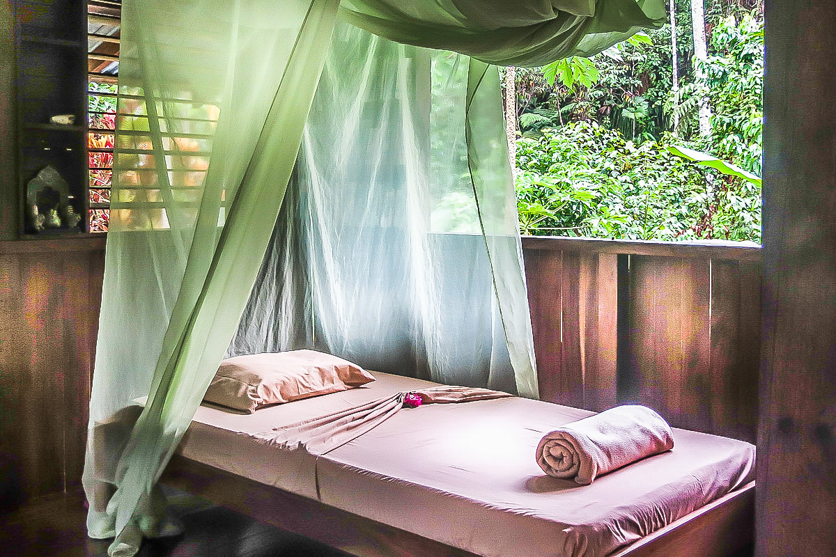 An immersive experience in the rainforest