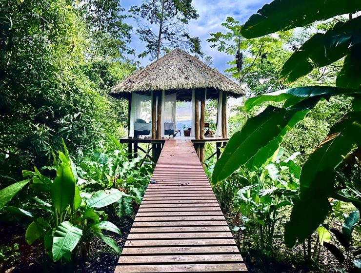 Wood cabin in the jungle, sea view, breakfast
