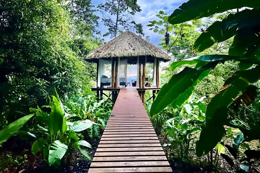 Wood cabin in the jungle, sea view, breakfast